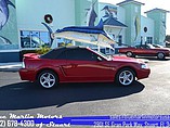 1999 Ford Mustang Cobra Photo #32