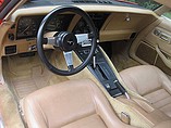 1981 Chevrolet Corvette Photo #9