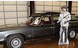 1975 Pontiac Grand Safari Photo #4