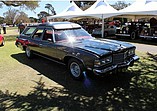 1975 Pontiac Grand Safari Photo #15