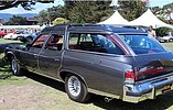 1975 Pontiac Grand Safari Photo #18