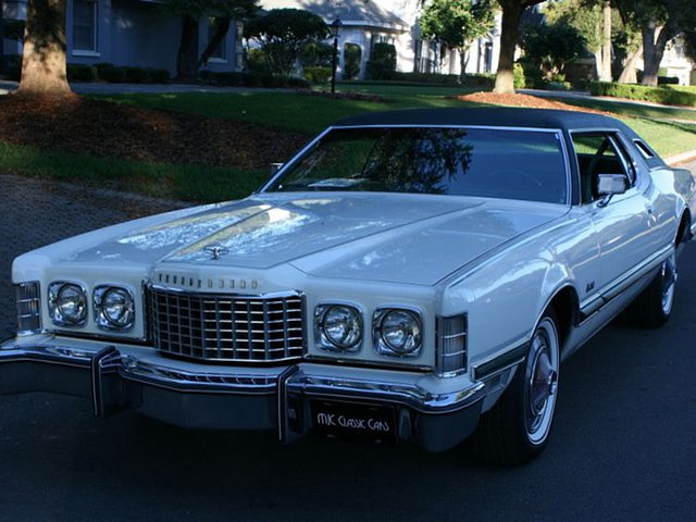 1976 Ford Thunderbird Photo
