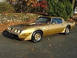 1979 Pontiac Trans Am Photo #2