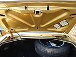 1979 Pontiac Trans Am Photo #10