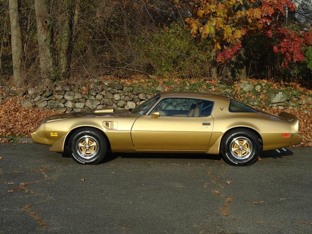 1979 Pontiac Trans Am Photo