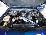 1984 Buick Regal Photo #5