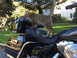 2006 Harley-Davidson Electra Glide Photo #18