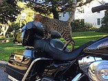 2006 Harley-Davidson Electra Glide Photo #19