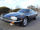 1988 Jaguar XJS Photo #3