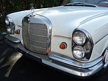 1967 Mercedes-Benz 250SE Photo #10