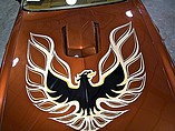 1978 Pontiac Trans Am Photo #9
