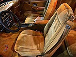 1978 Pontiac Trans Am Photo #15