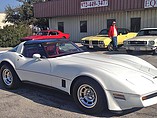 1981 Chevrolet Corvette Photo #2