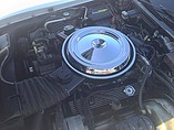 1981 Chevrolet Corvette Photo #7