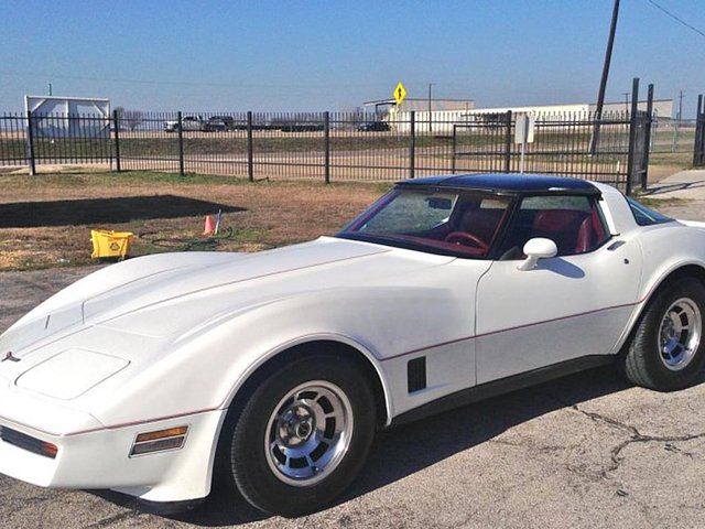 1981 Chevrolet Corvette Photo
