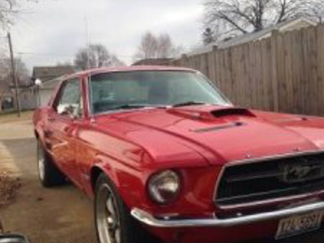 1967 Ford Mustang Photo