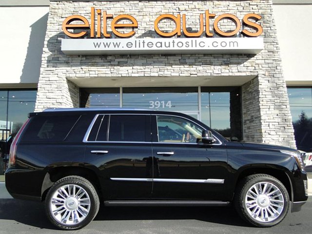 2015 Cadillac Escalade Photo
