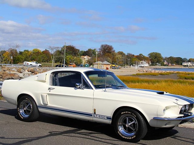 1967 Ford Shelby Mustang Photo