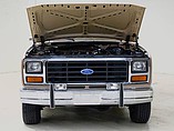 1983 Ford Bronco Photo #15
