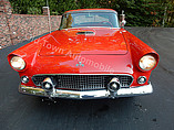 1955 Ford Thunderbird Photo #6