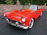 1955 Ford Thunderbird Photo #25
