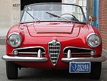 1964 Alfa Romeo Giulia Photo #5